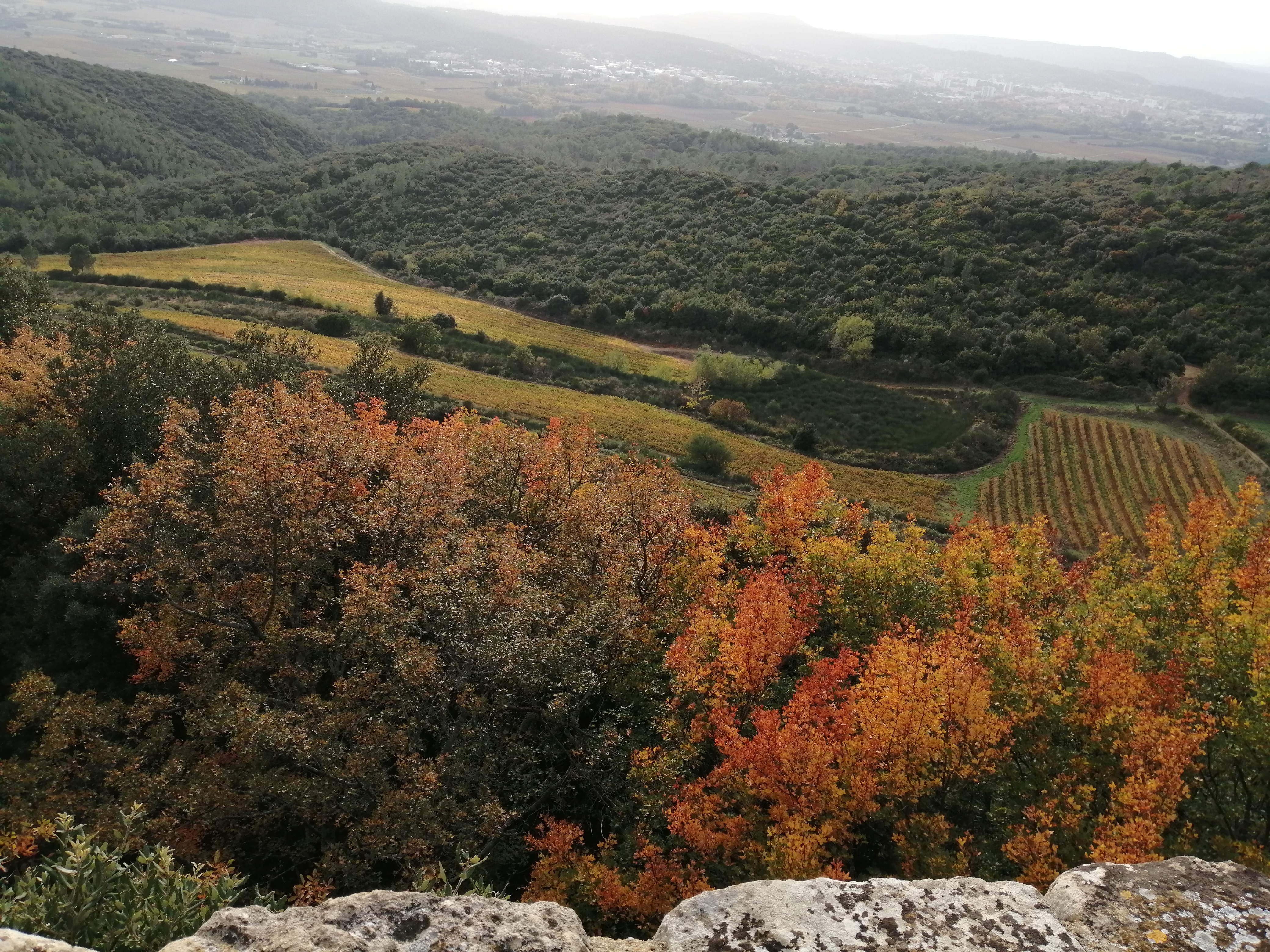Photo n° 2 de l'avis de Laura.o fait le 25/10/2020 à 15:41