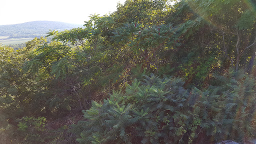 Observatory «United Astronomy Clubs of New Jersey», reviews and photos, 333 State Park Rd, Hope, NJ 07844, USA