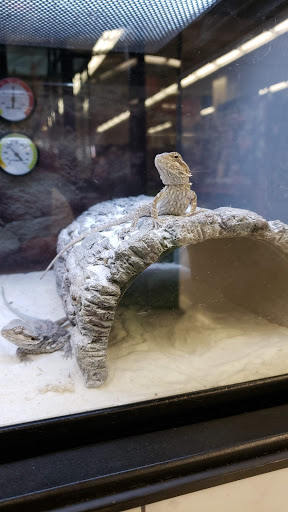 Shopping Mall «Southroads Shopping Center», reviews and photos, 5211 E 41st St, Tulsa, OK 74135, USA