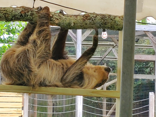 Tourist Attraction «Barn Hill Preserve», reviews and photos, 11370 LA-955, Ethel, LA 70730, USA