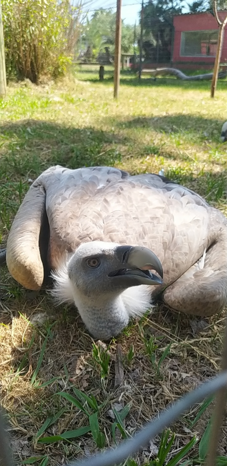 Photo n° 3 de l'avis de Marlène.h fait le 24/05/2022 à 18:48