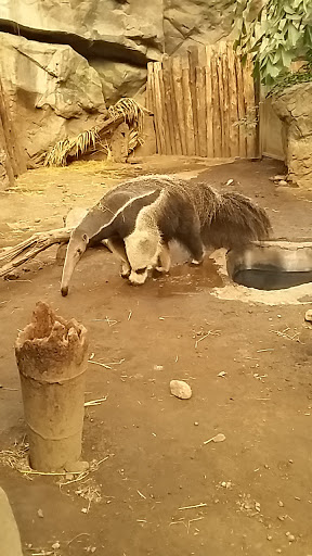 Park «Franklin Park», reviews and photos, 1 Franklin Park Rd, Boston, MA 02121, USA