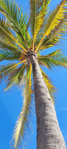 Park «El Prado Park», reviews and photos, 4500 El Mar Dr, Lauderdale-By-The-Sea, FL 33308, USA