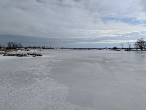 Nature Preserve «Times Beach Nature Preserve», reviews and photos, Coast Guard Station S Rd, Buffalo, NY 14203, USA