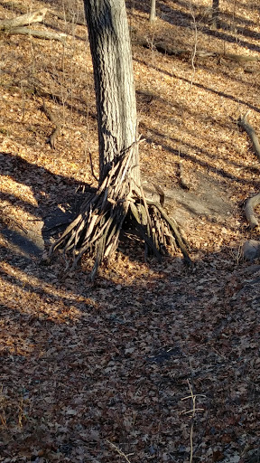 Park «Quaking Bog», reviews and photos, Theodore Wirth Pkwy, Minneapolis, MN 55411, USA