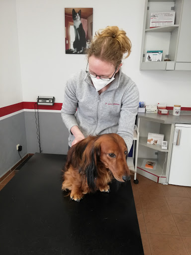 Tierarztpraxis Dr. Lena Schönbeck unter Ahlerstedt, Niedersachsen