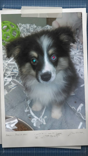 Pet Store «Park Avenue Birds & Pet Supply», reviews and photos, 120 W Center St, West Bridgewater, MA 02379, USA