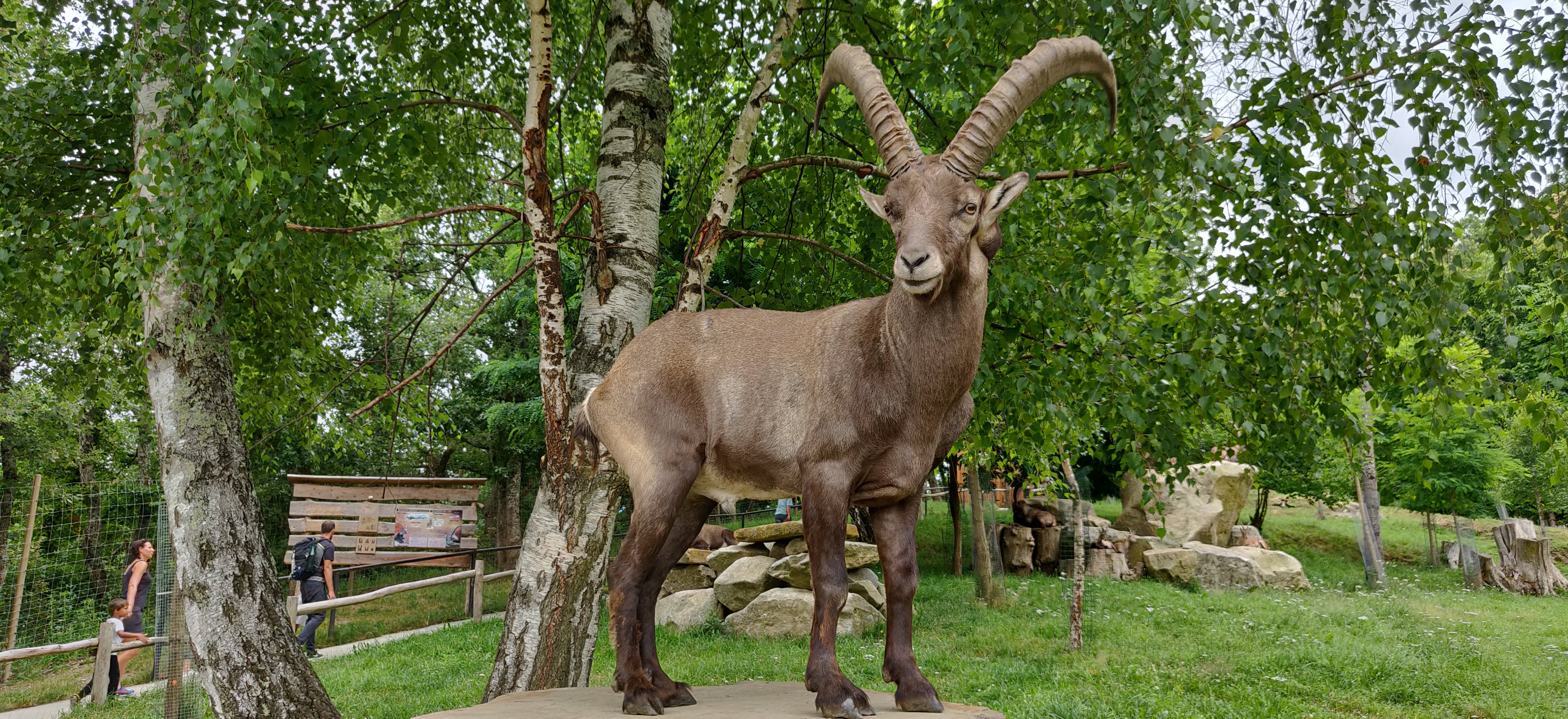 Photo n° 17 de l'avis de Frédéric.o fait le 15/11/2022 à 09:50