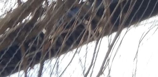 Zoo «Kansas Wildlife Exhibit», reviews and photos, 600-630 Nims N, Wichita, KS 67203, USA