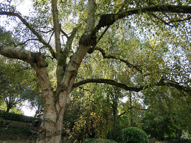 Comments and reviews of Hexthorpe Park Aviary