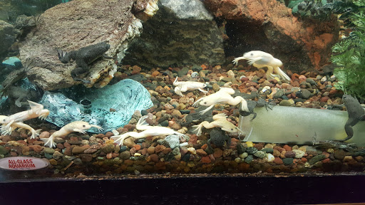 Pet Store «Aqualand Aquarium Center», reviews and photos, 5355 Chicago Ave, Minneapolis, MN 55417, USA