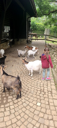 Parc zoologique du bois du petit château - La Chaux-de-Fonds