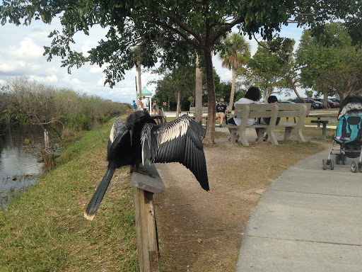 Tourist Attraction «Shark Valley Tram Tours», reviews and photos, 36000 SW 8th St, Miami, FL 33194, USA