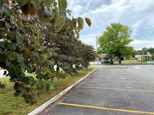 American Restaurant «Cracker Barrel Old Country Store», reviews and photos, 716 N Campbell Station Rd, Farragut, TN 37934, USA