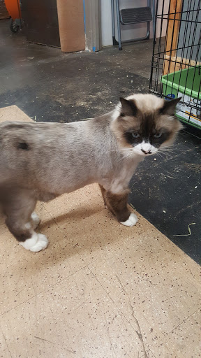 Pet Store «A to Z Pets», reviews and photos, 16010 SE Division St, Portland, OR 97236, USA