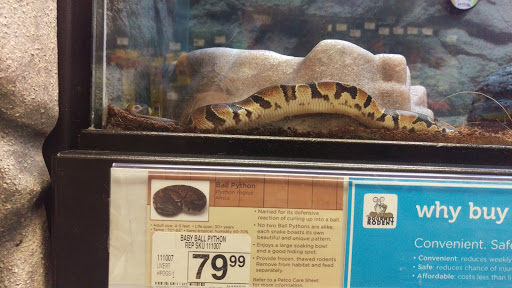 Pet Supply Store «Petco Animal Supplies», reviews and photos, 9137 Central Ave a, Montclair, CA 91763, USA