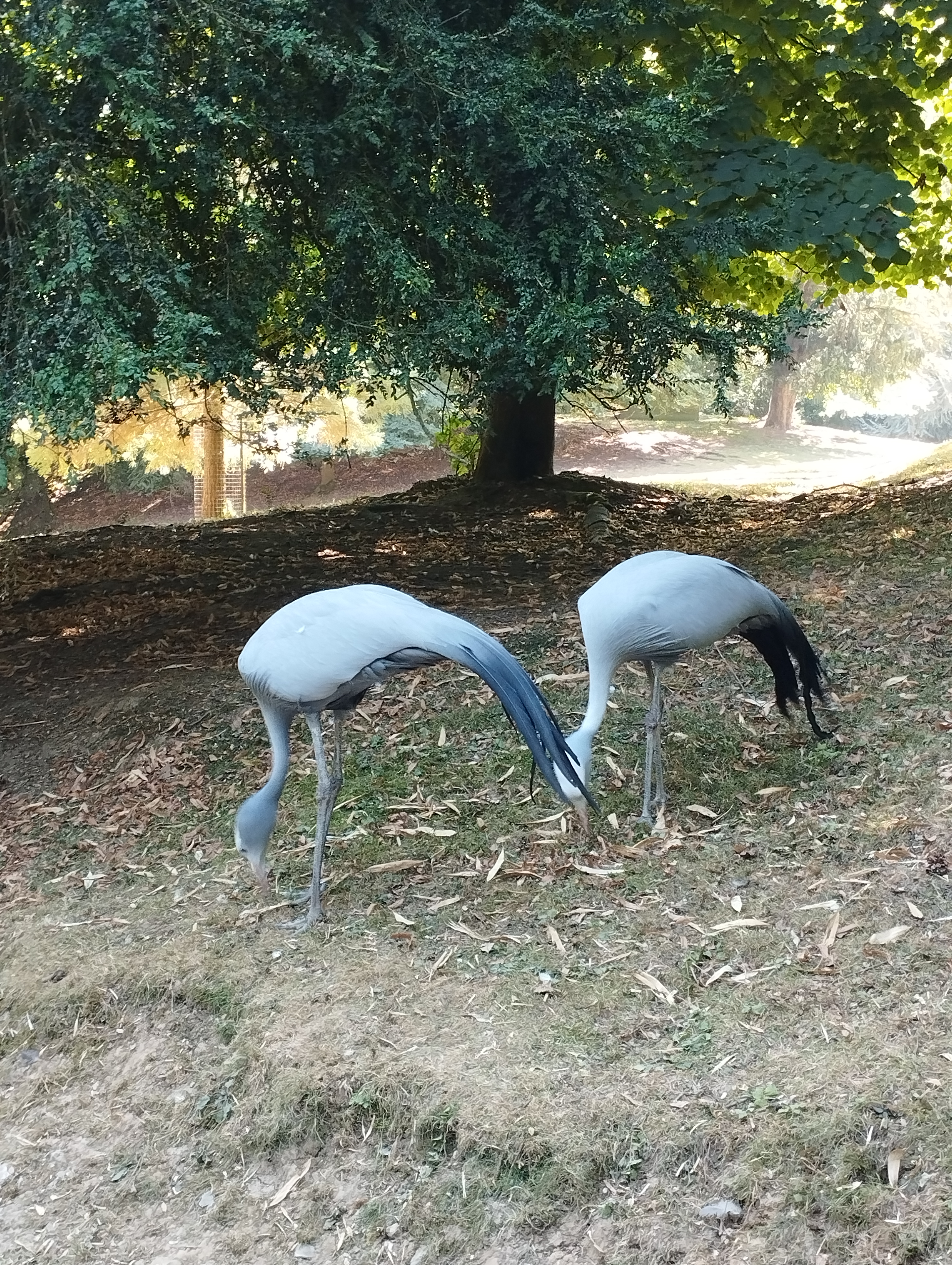 Photo n° 5 de l'avis de Christine.e fait le 10/08/2022 à 21:47