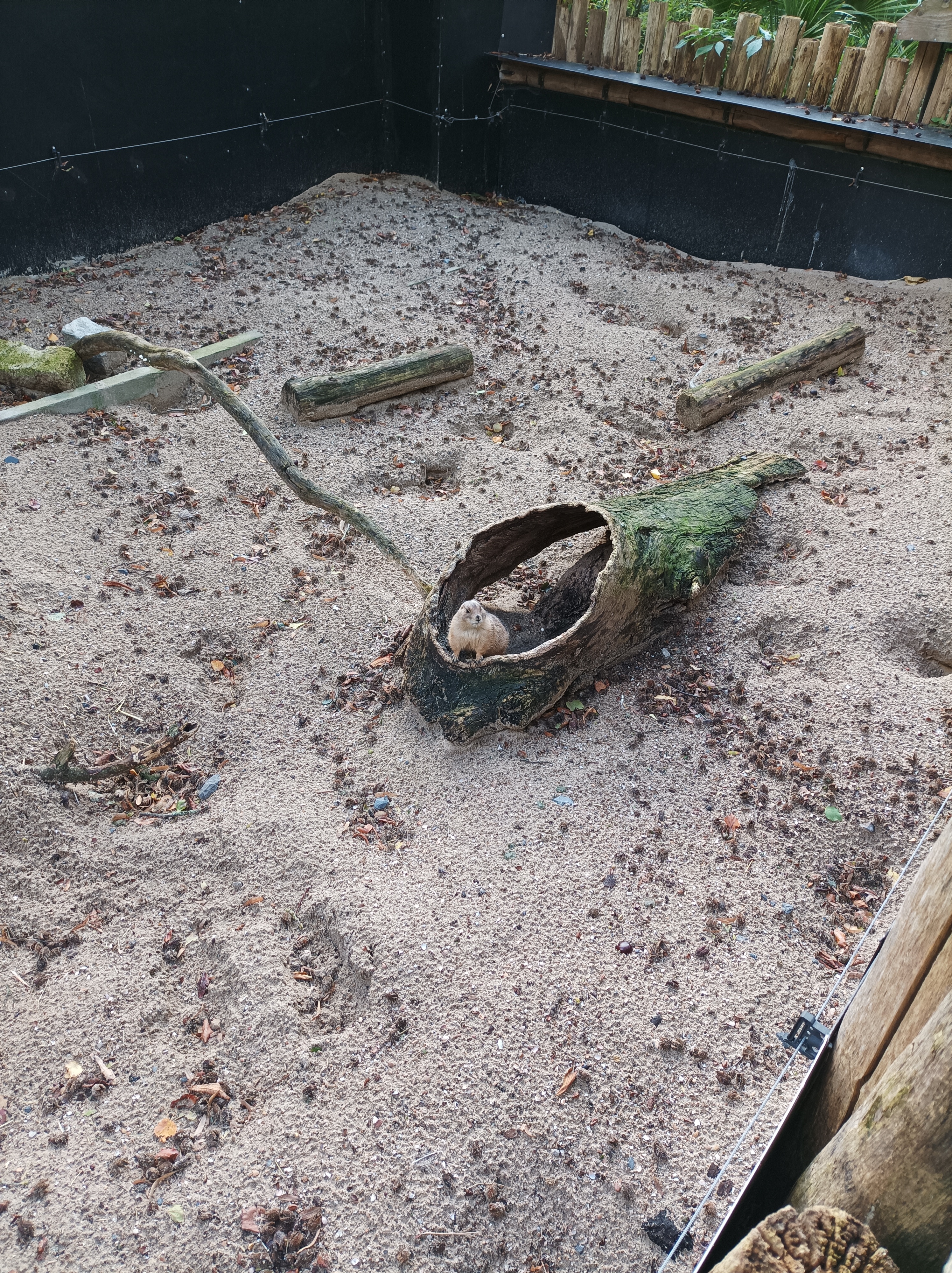 Photo n° 1 de l'avis de Enzo.a fait le 10/11/2023 à 15:53