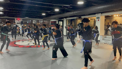 Tiger Schulmann,s Martial Arts (Jackson Heights, N - 8710 Northern Blvd Suite 210, Queens, NY 11372