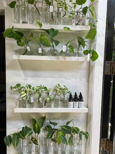 Florist «Green Fresh Florals», reviews and photos, 3785 Fourth Ave, San Diego, CA 92103, USA