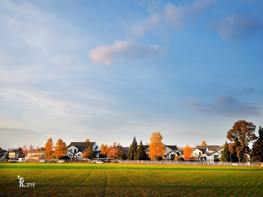 Park «Reedville Creek Park», reviews and photos, 7500 SE Frances St, Hillsboro, OR 97123, USA