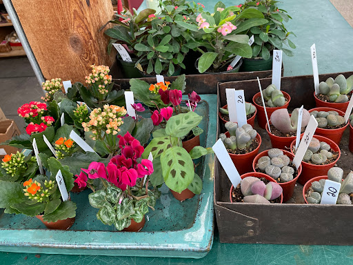 Plant Nursery «Sturtz & Copeland Florist & Greenhouses», reviews and photos, 2851 Valmont Rd, Boulder, CO 80301, USA