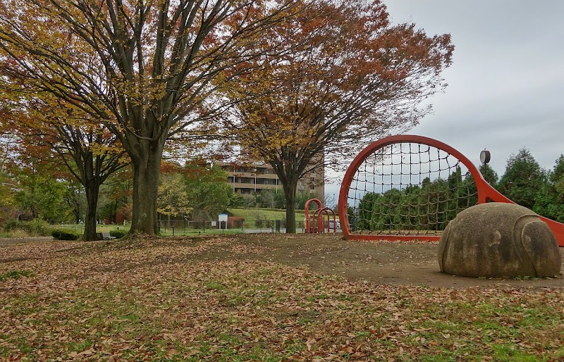 松木公園