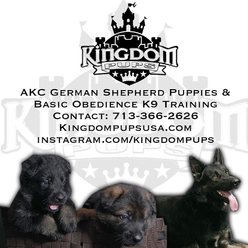 Kingdom Pups Usa