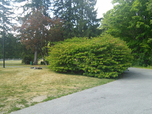 Park «Greycourt State Park», reviews and photos, 37 Pleasant St, Methuen, MA 01844, USA