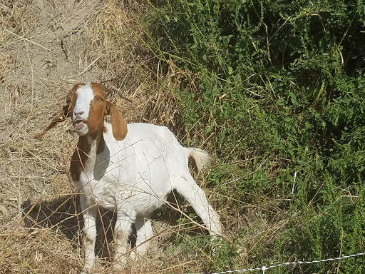 Shopping Mall «Country Hills Shopping Center», reviews and photos, 2905 Rolling Hills Rd, Torrance, CA 90505, USA