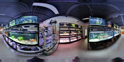 Tropical Fish Store «Fish Gallery», reviews and photos, 6955 Greenville Ave, Dallas, TX 75231, USA
