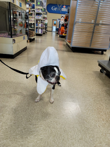 Pet Supply Store «PetSmart», reviews and photos, 4810 1st Ave NE, Cedar Rapids, IA 52402, USA