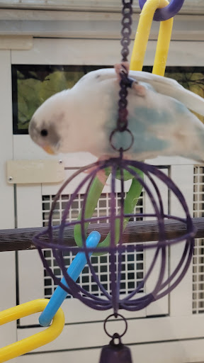 Pet Supply Store «PetSmart», reviews and photos, 13000 Aurora Ave N, Seattle, WA 98133, USA