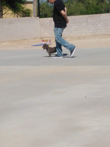 Thrift Store «Dog Junkies Thrift Store», reviews and photos, 4611 N Rancho Dr, Las Vegas, NV 89130, USA