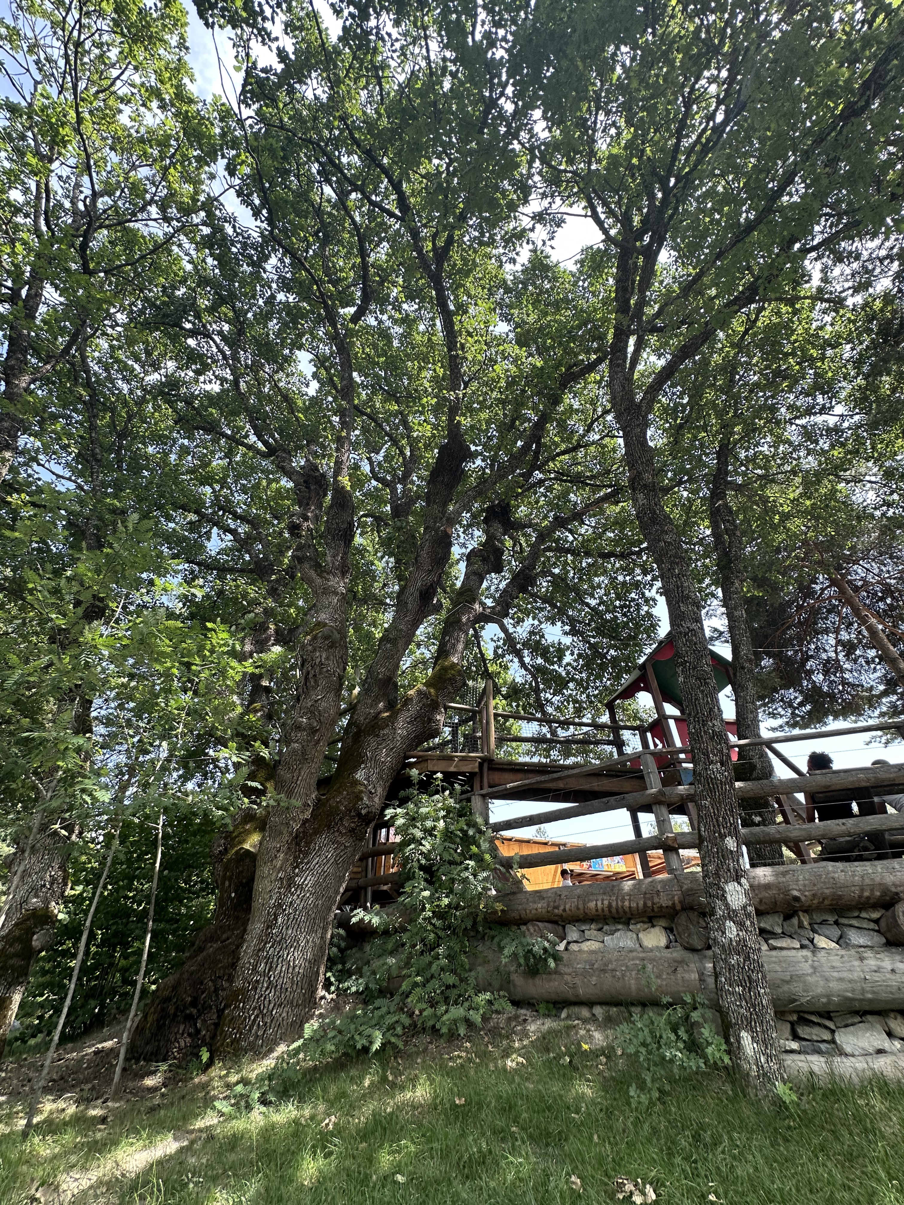 Photo n° 4 de l'avis de Christophe.A fait le 12/07/2023 à 12:01