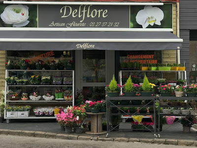 Delflore à Solesmes