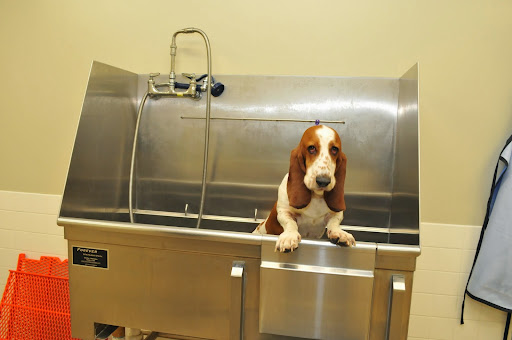 Pet Supply Store «PetPeople», reviews and photos, 4631 Everhard Rd NW, Canton, OH 44718, USA