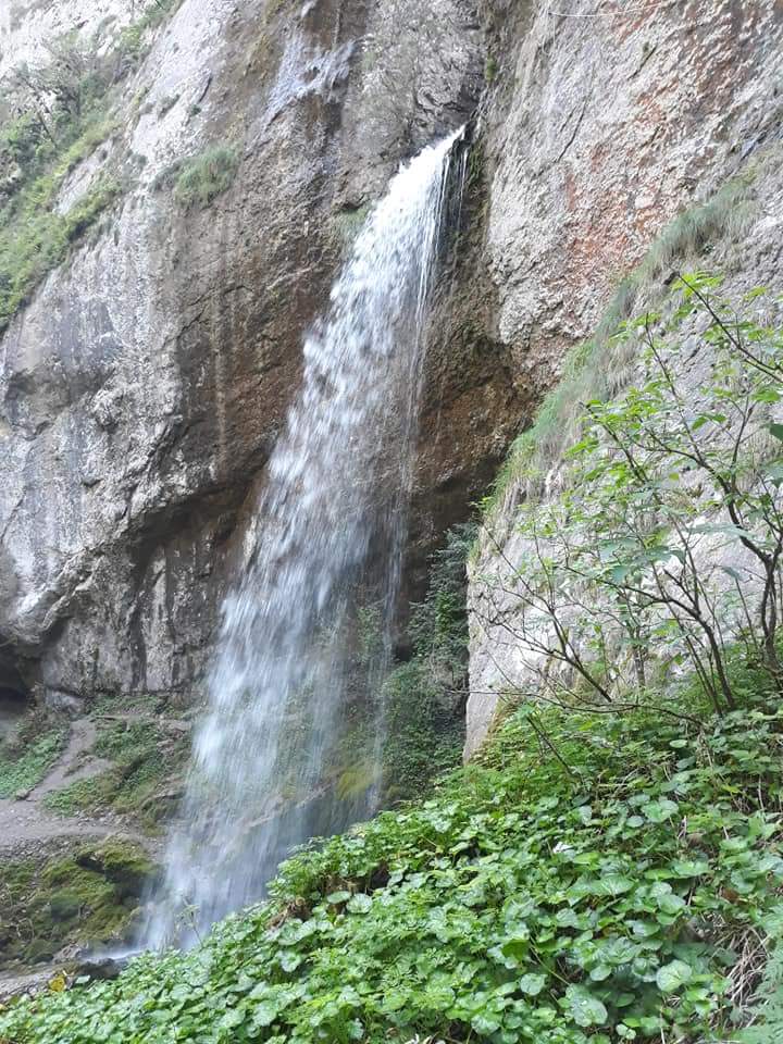 Photo n° 11 de l'avis de Cindy.e fait le 02/09/2018 à 12:00