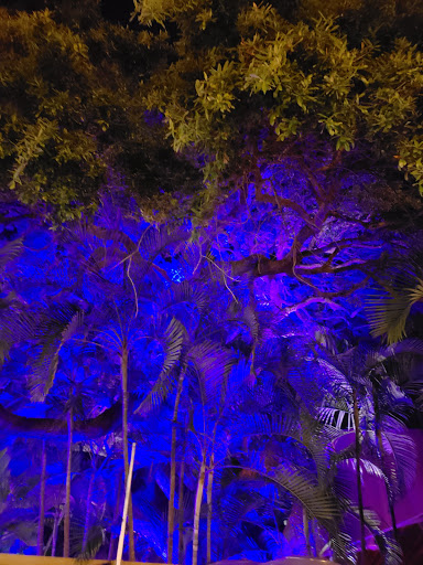 Park «Edgewater Park», reviews and photos, 51 Main St, Dunedin, FL 34698, USA