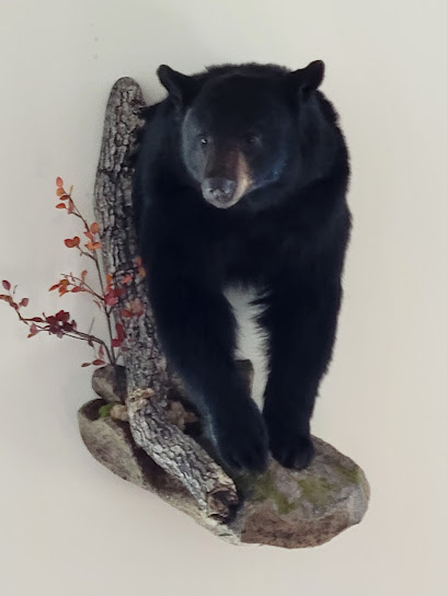 North Country Legends Taxidermy