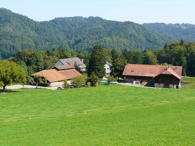 Böndlerstrasse 10, 8494 Bauma, Schweiz