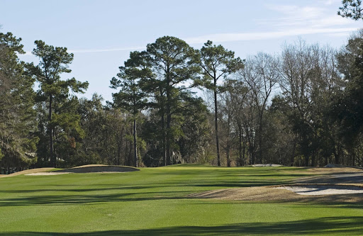 Golf Course «Shadowmoss Plantation Golf Club», reviews and photos, 20 Dunvegan Dr, Charleston, SC 29414, USA