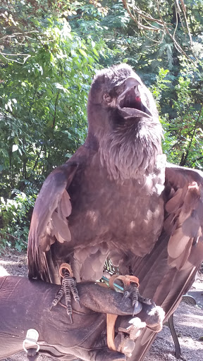 Non-Profit Organization «Audubon Society of Portland», reviews and photos, 5151 NW Cornell Rd, Portland, OR 97210, USA