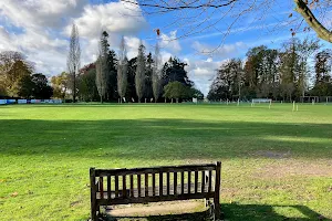 Falkland Cricket Club image