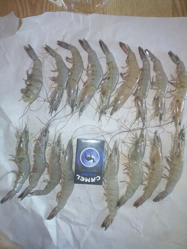 Produce Market «Stewarts Produce Inc», reviews and photos, 311 Anastasia Blvd, St Augustine, FL 32080, USA