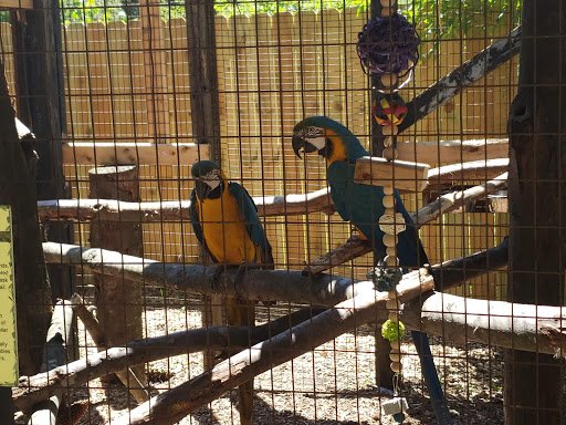 Zoo «Wilderness Trails Zoo», reviews and photos, 11721 Gera Rd, Birch Run, MI 48415, USA