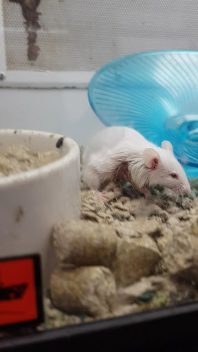 Pet Supply Store «Petco Animal Supplies», reviews and photos, 1621 Emmet St N, Charlottesville, VA 22901, USA