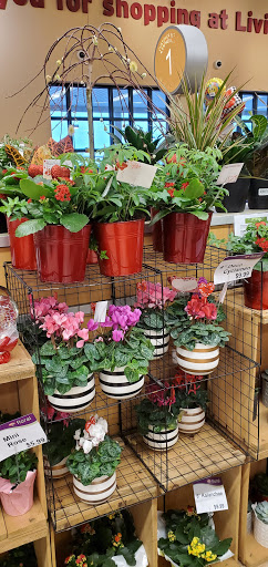 Grocery Store «Hannaford Supermarket», reviews and photos, 32 NY-82, Hudson, NY 12534, USA