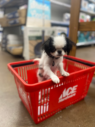 Hardware Store «Pinnacle Peak Ace Hardware», reviews and photos, 23623 N Scottsdale Rd, Scottsdale, AZ 85255, USA