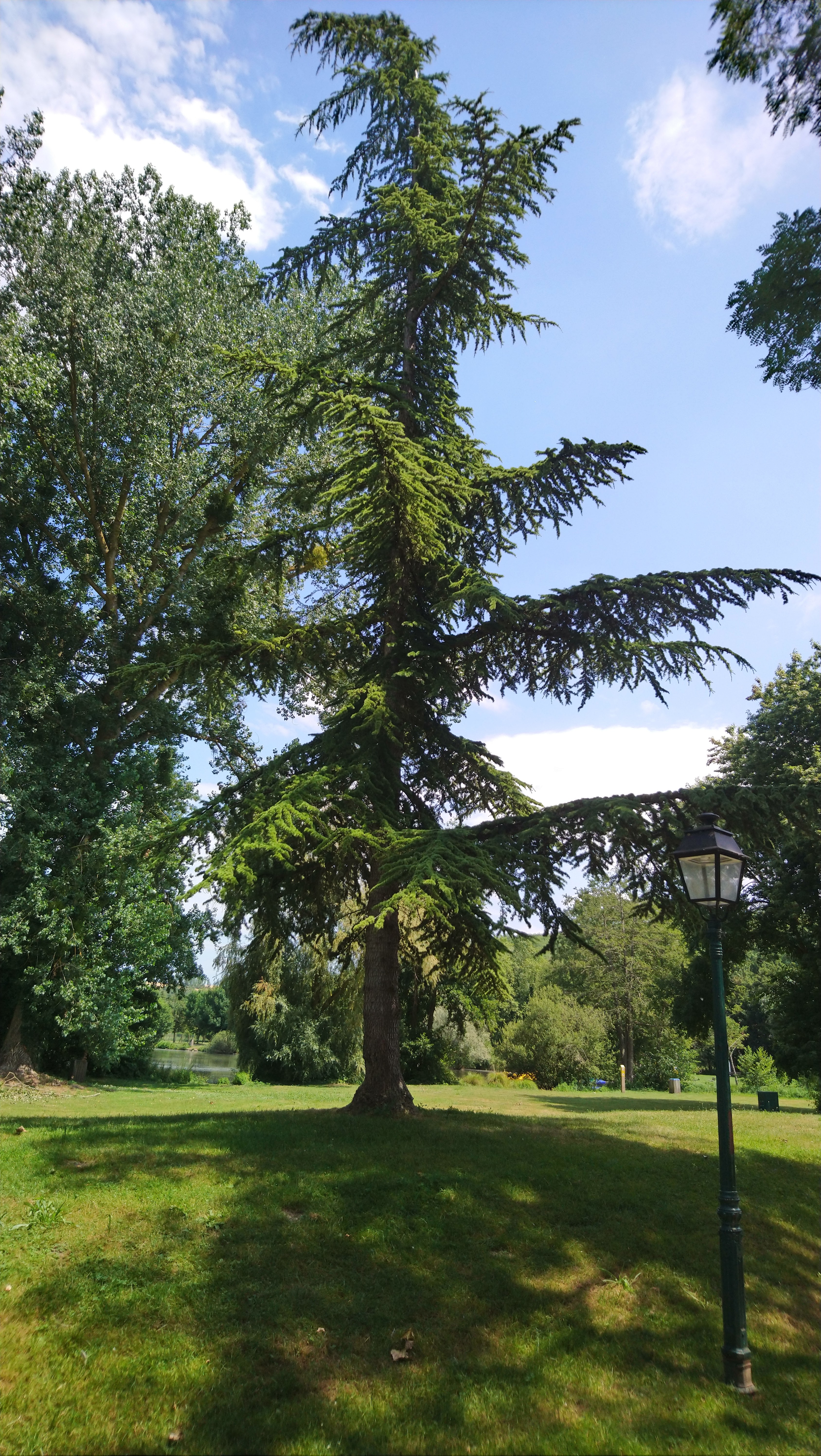 Photo n° 32 de l'avis de Lucien.e fait le 08/07/2019 à 10:52
